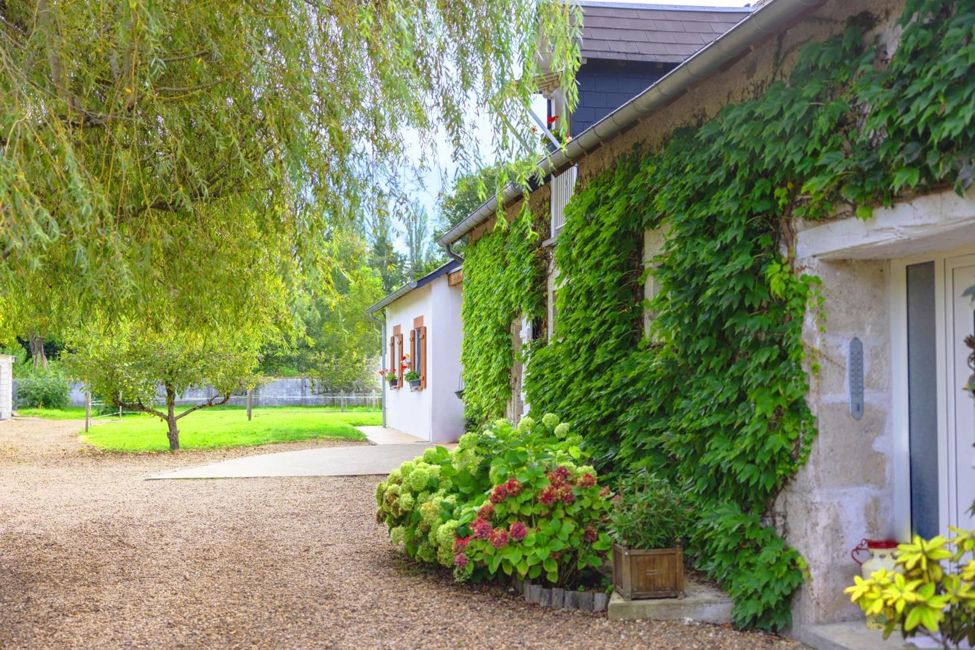 Bed and Breakfast Ferme De Marpalu La Ferte-Saint-Cyr Екстер'єр фото