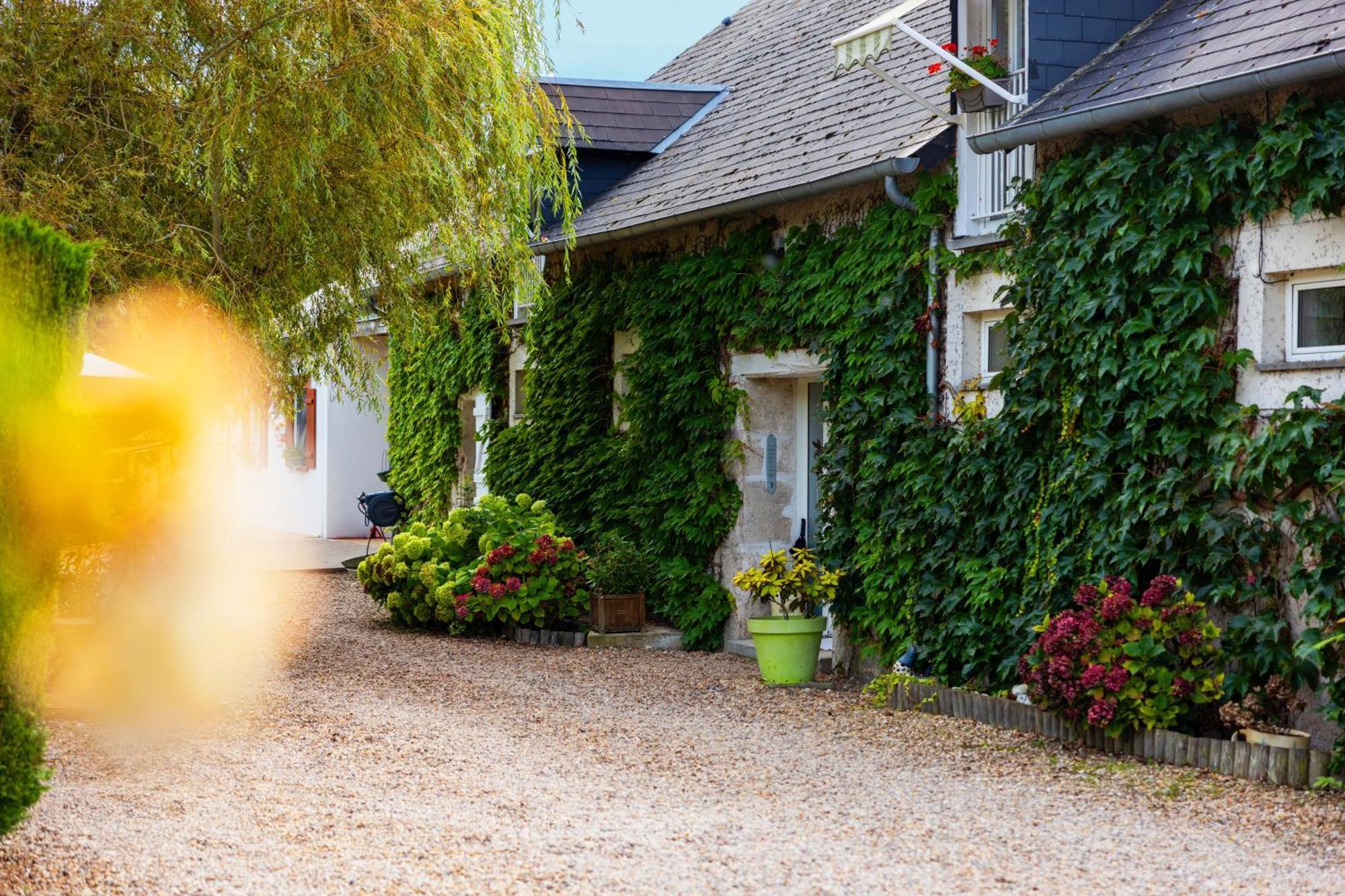 Bed and Breakfast Ferme De Marpalu La Ferte-Saint-Cyr Екстер'єр фото